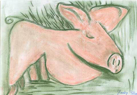 g1_Schwein