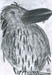 a1_Rabe