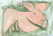 g1_Schwein